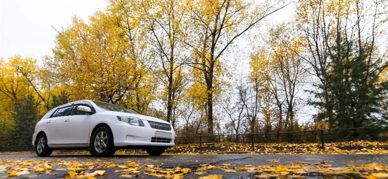 Essential Car Maintenance Tips for Fall: Keep Your Vehicle Running Smoothly